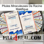 Pilules Miraculeuses De Racine Maléfique kamagra1